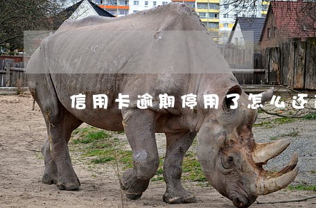信用卡逾期停用了怎么还款 信用卡逾期停用了怎么还款