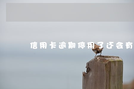 信用卡逾期停用了还会有年费吗 信用卡逾期停用了还会有年费吗