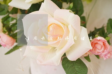 信用卡逾期停用储蓄卡