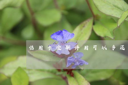 信用卡逾期停用可以多还钱吗 信用卡逾期停用可以多还钱吗