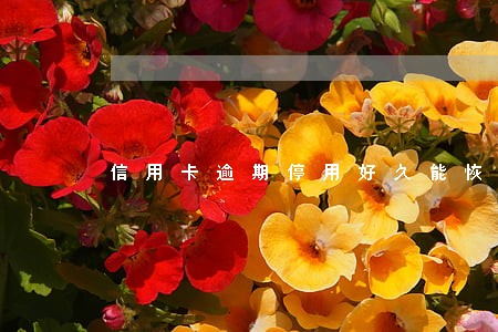 信用卡逾期停用好久能恢复 信用卡逾期停用好久能恢复