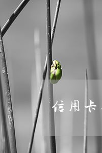 信用卡逾期停用怎么解决 信用卡逾期停用怎么解决