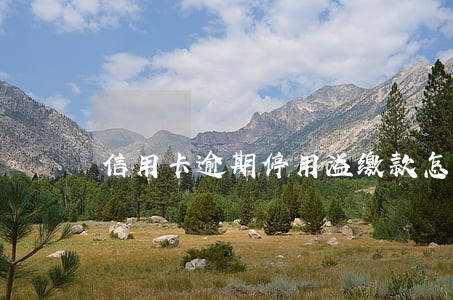 信用卡逾期停用溢缴款怎么办 信用卡逾期停用溢缴款怎么办