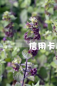 信用卡逾期停用还清后注销吗 信用卡逾期停用还清后注销吗