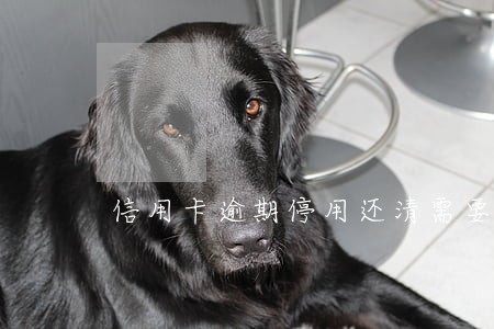 信用卡逾期停用还清需要注销吗 信用卡逾期停用还清需要注销吗