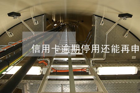 信用卡逾期停用还能再申请 信用卡逾期停用还能再申请