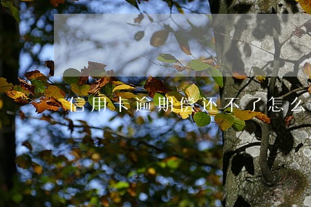 信用卡逾期偿还不了怎么办