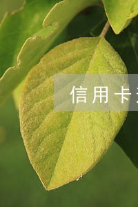 信用卡逾期偿还原因开证明