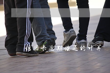 信用卡逾期偿还的计算 信用卡逾期偿还的计算