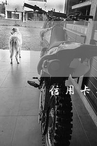 信用卡逾期偿还计划 信用卡逾期偿还计划