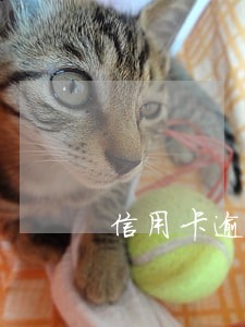 信用卡逾期储存卡停了怎么办 信用卡逾期储存卡停了怎么办