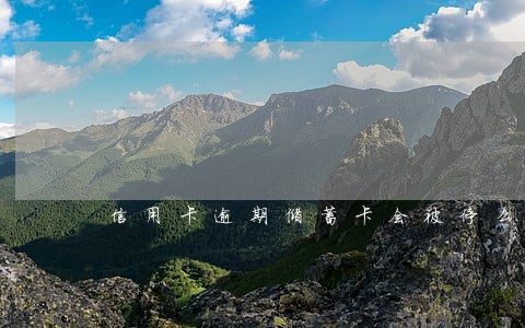 信用卡逾期储蓄卡会被停么