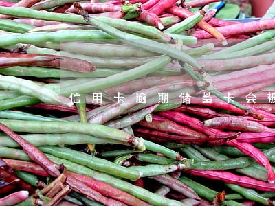 信用卡逾期储蓄卡会被公安冻结