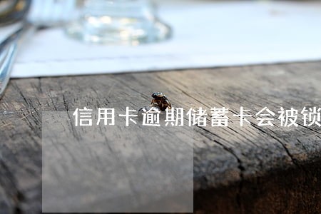 信用卡逾期储蓄卡会被锁吗