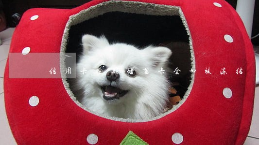 信用卡逾期储蓄卡全部被冻结 信用卡逾期储蓄卡全部被冻结