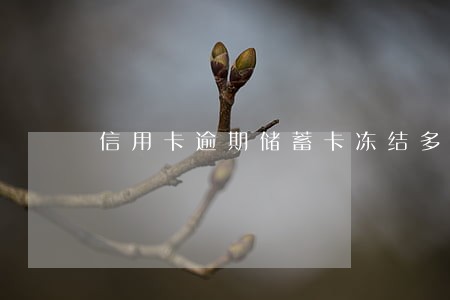 信用卡逾期储蓄卡冻结多久解封 信用卡逾期储蓄卡冻结多久解封