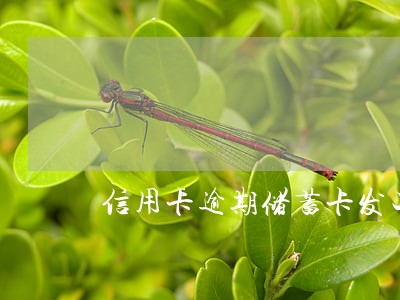 信用卡逾期储蓄卡发工资 信用卡逾期储蓄卡发工资