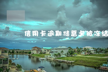 信用卡逾期储蓄卡被冻结