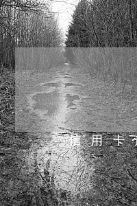 信用卡逾期储蓄卡被锁怎么办 信用卡逾期储蓄卡被锁怎么办
