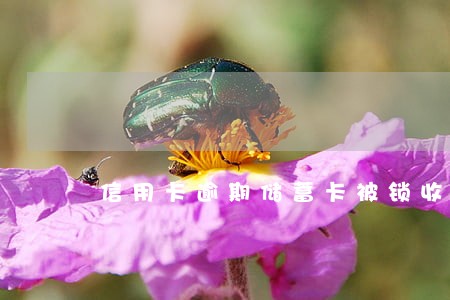 信用卡逾期储蓄卡被锁收不了款 信用卡逾期储蓄卡被锁收不了款