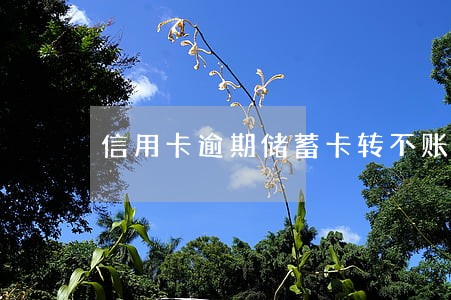 信用卡逾期储蓄卡转不账 信用卡逾期储蓄卡转不账