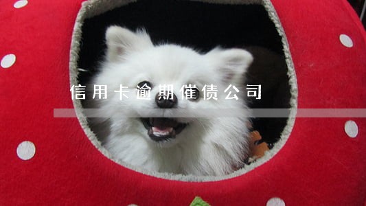 信用卡逾期催债公司 信用卡逾期催债公司