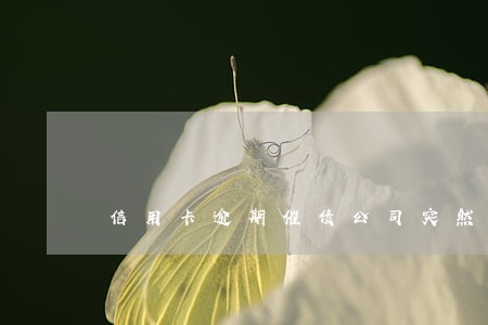 信用卡逾期催债公司突然找上门
