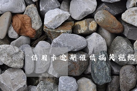 信用卡逾期催债搞笑视频 信用卡逾期催债搞笑视频