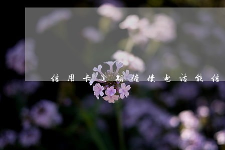 信用卡逾期催债电话能信吗
