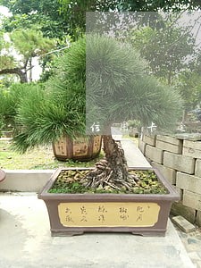 信用卡逾期催债视频