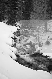 信用卡逾期催债骚扰 信用卡逾期催债骚扰