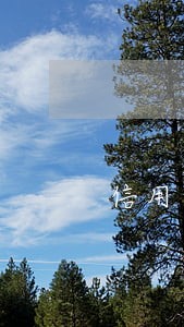 信用卡逾期催告函模板