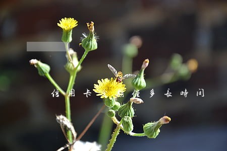 信用卡逾期催多长时间 信用卡逾期催多长时间
