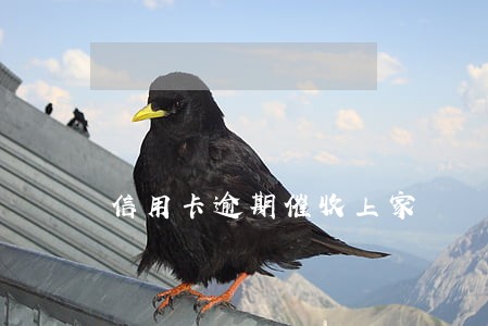 信用卡逾期催收上家