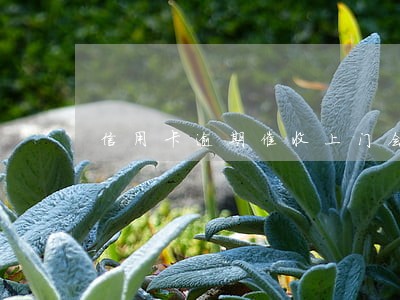 信用卡逾期催收上门会暴力吗 信用卡逾期催收上门会暴力吗
