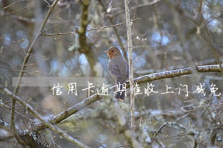信用卡逾期催收上门减免
