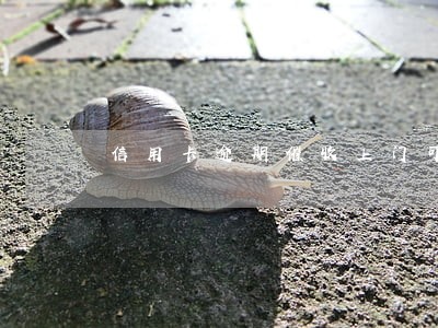 信用卡逾期催收上门可以报警吗
