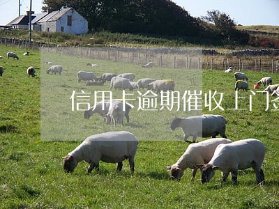 信用卡逾期催收上门签字
