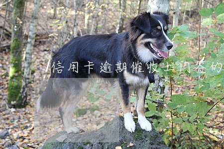 信用卡逾期催收上门签的是什么