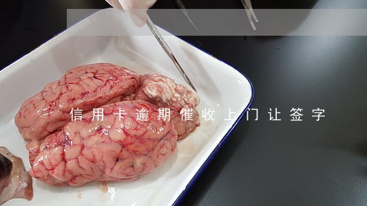 信用卡逾期催收上门让签字 信用卡逾期催收上门让签字