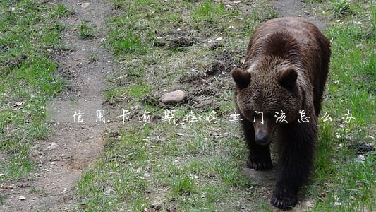 信用卡逾期催收上门该怎么办