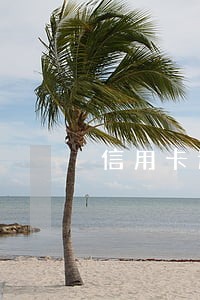 信用卡逾期催收上门骚扰