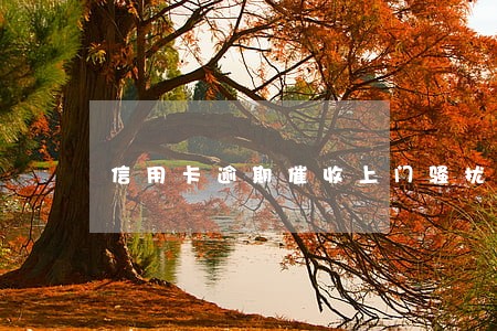 信用卡逾期催收上门骚扰怎么办
