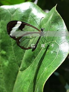 信用卡逾期催收不再打电话 信用卡逾期催收不再打电话