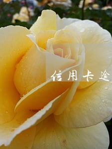 信用卡逾期催收业务 信用卡逾期催收业务
