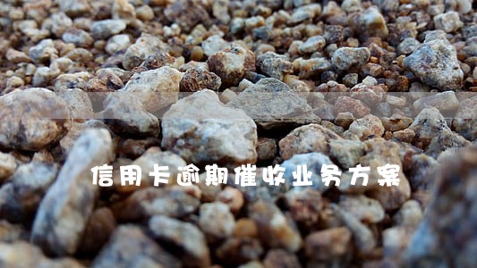 信用卡逾期催收业务方案 信用卡逾期催收业务方案