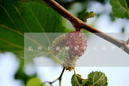信用卡逾期催收人员答应减免 信用卡逾期催收人员答应减免