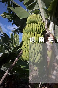 信用卡逾期催收冒充警察