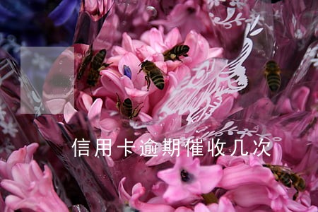 信用卡逾期催收几次