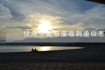信用卡逾期催收到单位怎么办 信用卡逾期催收到单位怎么办